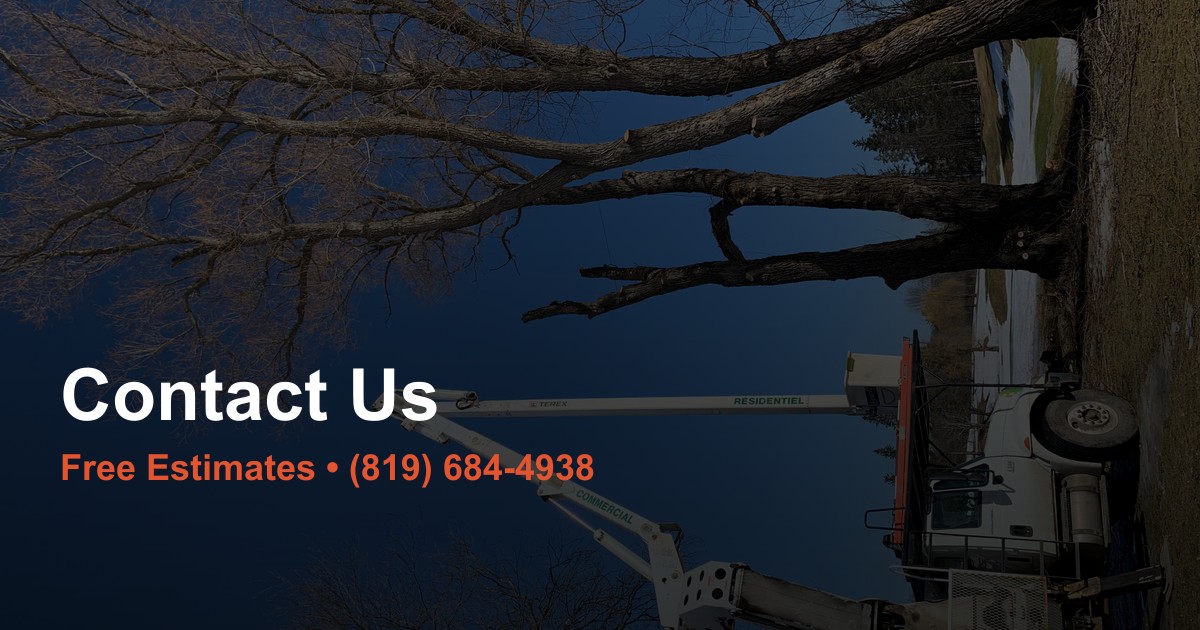 Contact Us | Free Tree Service Estimates | Ottawa-Gatineau | Steve's ...